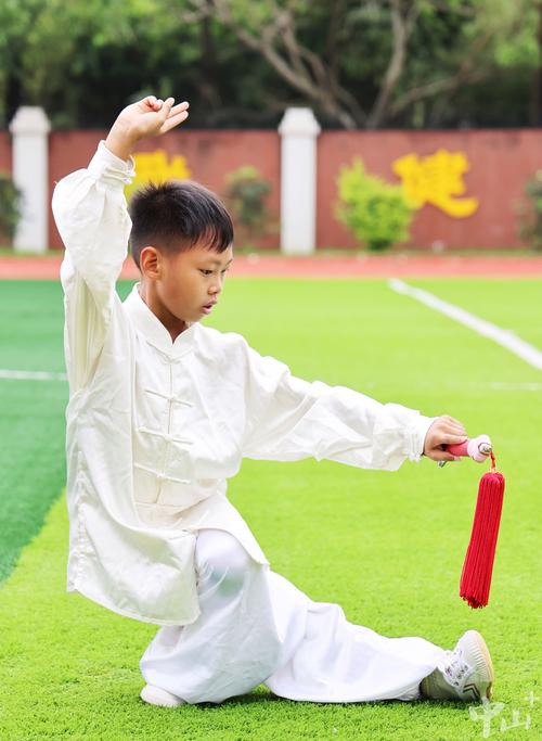 武术高手短剧有哪些