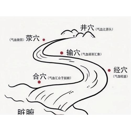 大学体育武术学什么 大学体育武术学什么