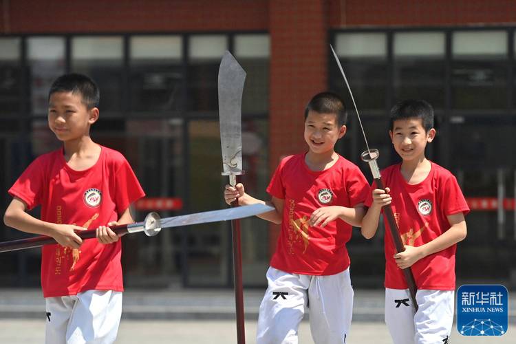 少年中国说的配套武术动作 少年中国说的配套武术动作