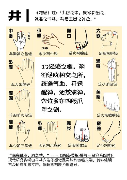 嵩山少林武术职业学院官网入口网址 嵩山少林武术职业学院官网入口网址