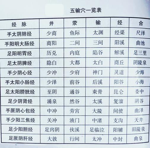 西北武术学院一年费用 西北武术学院一年费用