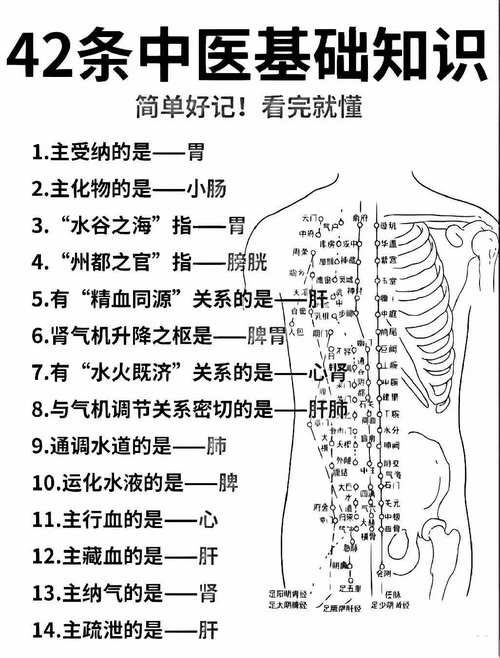 西北武术学院一年费用 西北武术学院一年费用