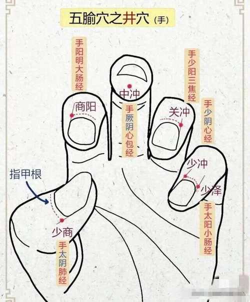 山东武术学校招生简章 山东武术学校招生简章